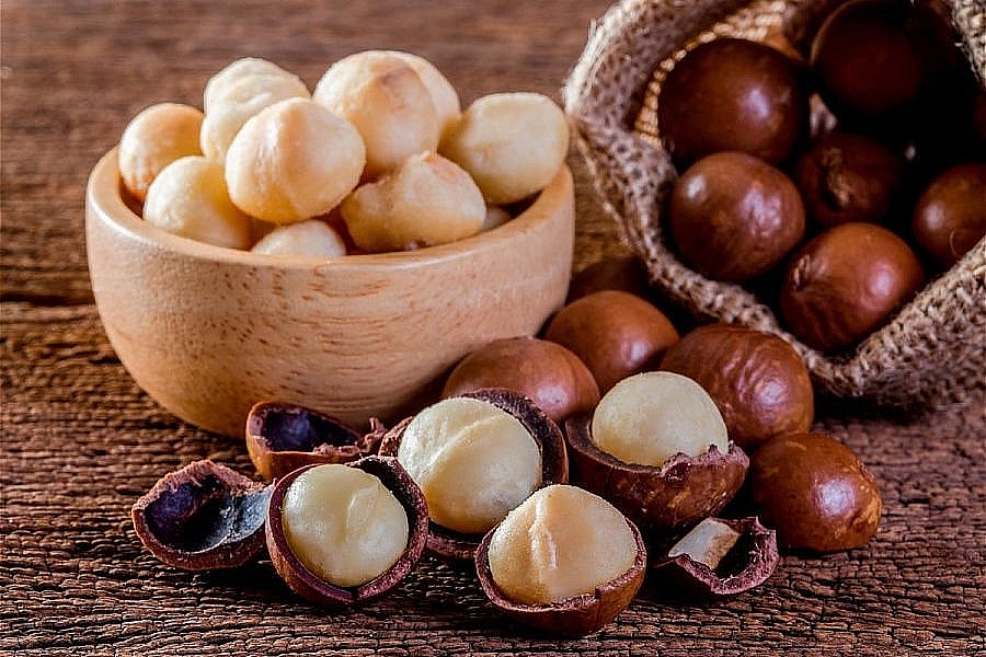 La filière macadamia vise 2,5 milliards de dollars d exportation d ici 2050